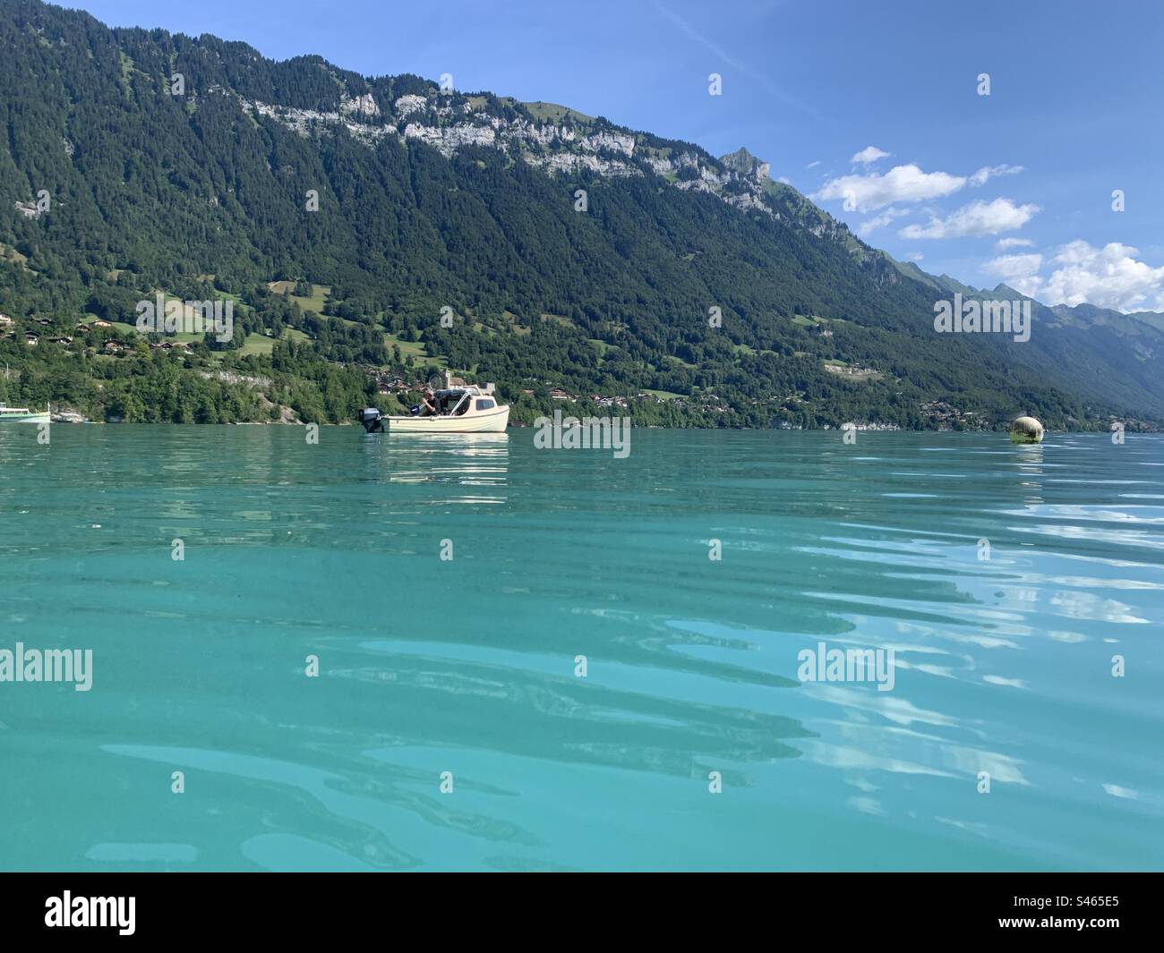 Lake BRIENZ interlaken in summer Stock Photo - Alamy