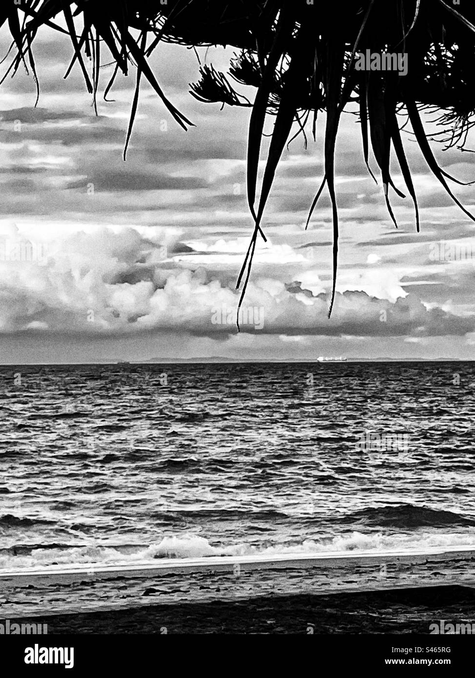 Beach in Queensland Australia Stock Photo - Alamy