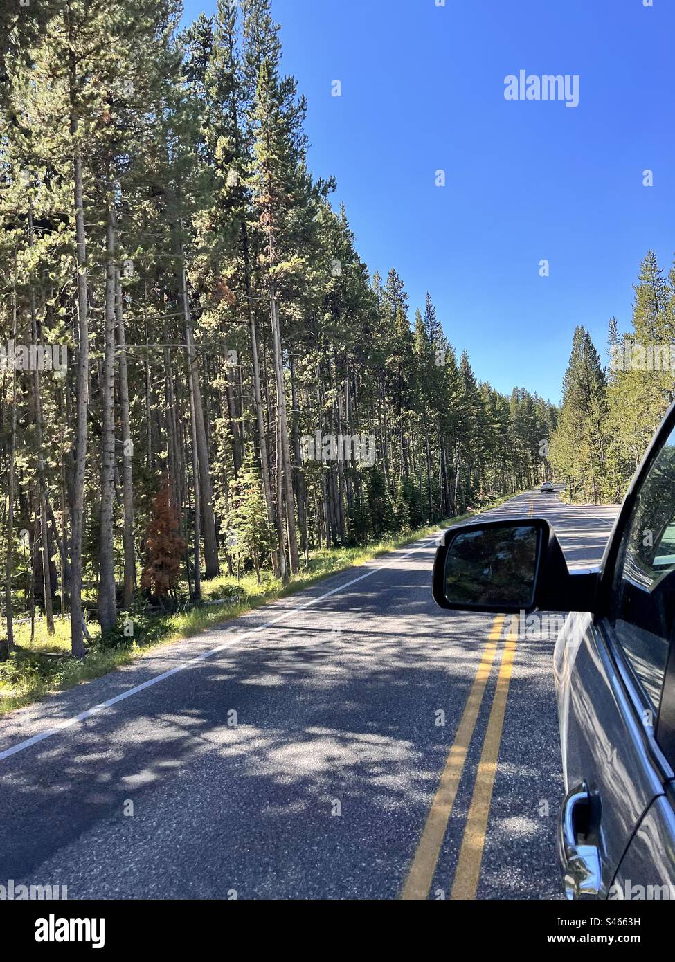 Road in The Yellowstone National Park Stock Photo