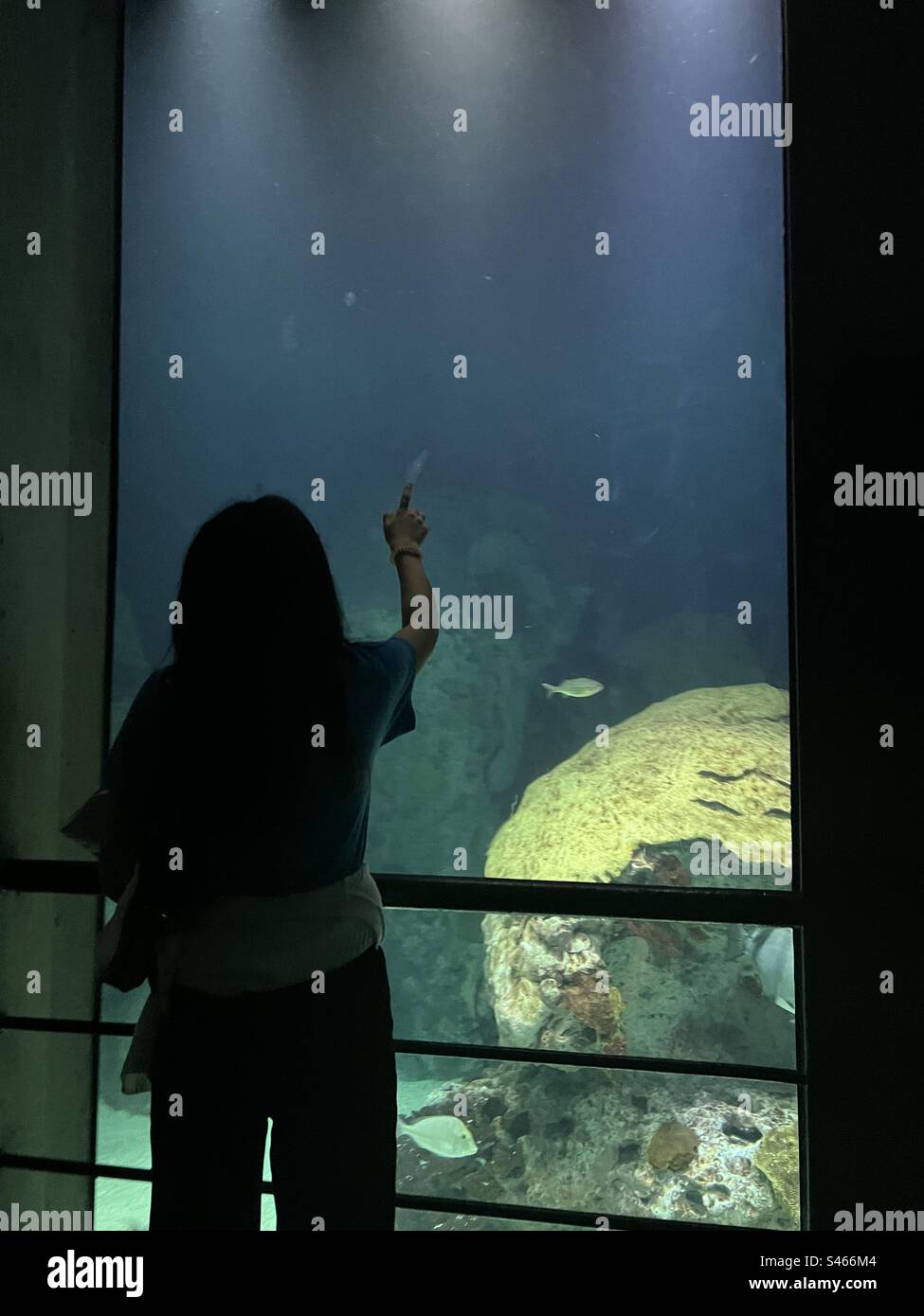 The Aquarium of Baltimore Stock Photo Alamy