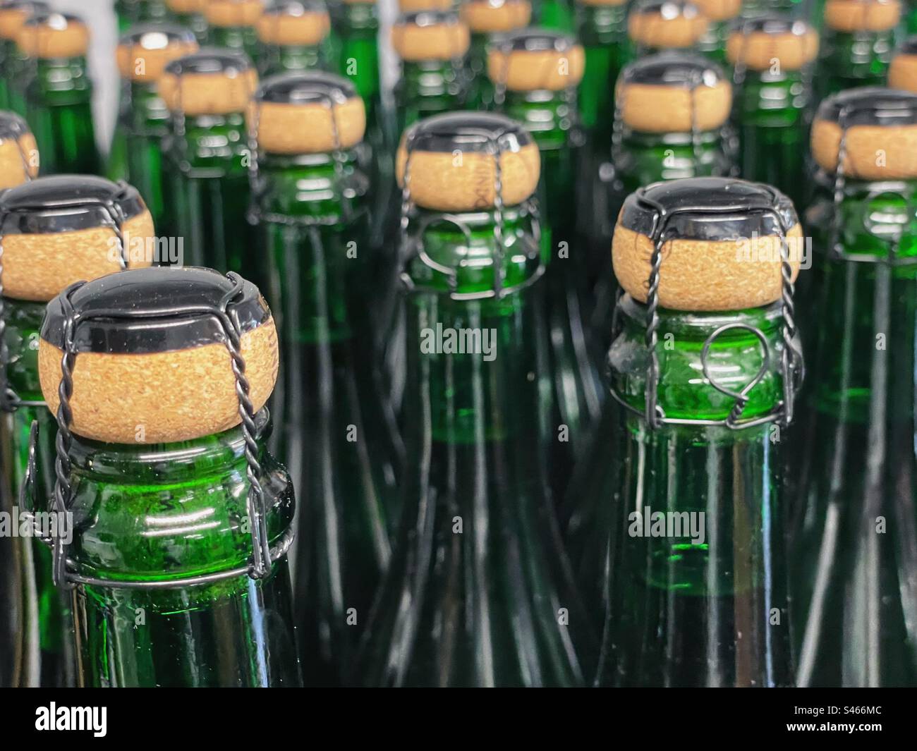 Corked bottles in a winery - Smartphone Captured Stock Image