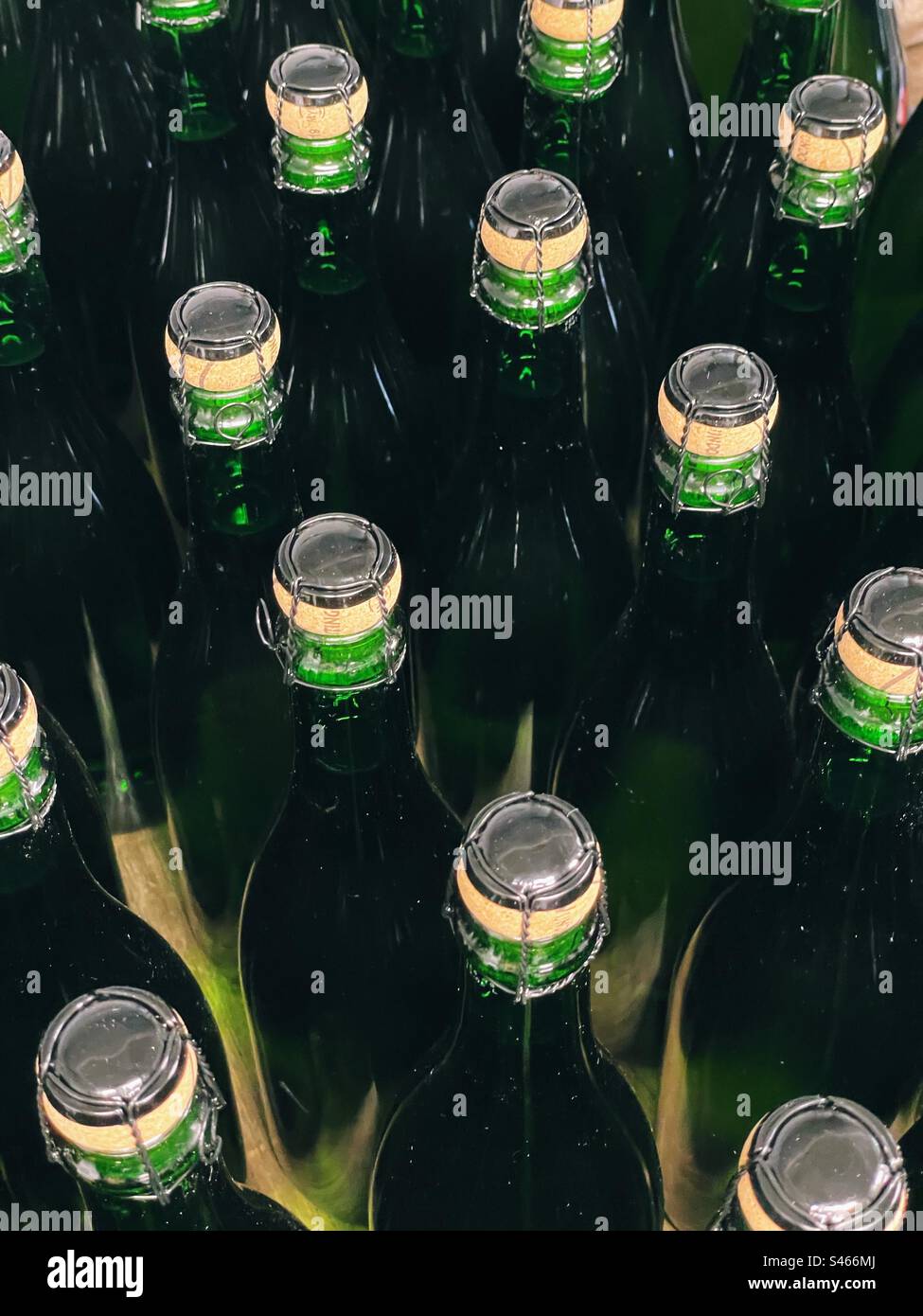 Wine bottles with corks in a winery - Smartphone Captured Stock Image