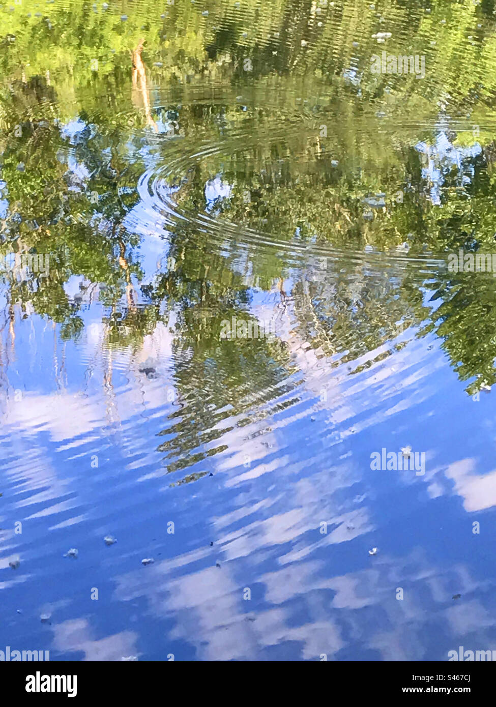 Reflection on water - Smartphone Captured Stock Image