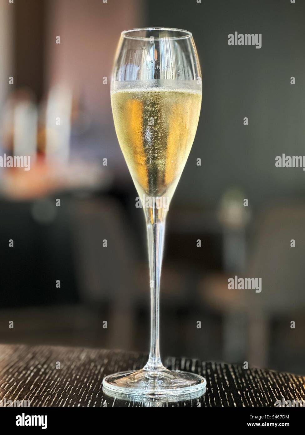 Flute glass of champagne isolated on a plain dark background Stock Photo