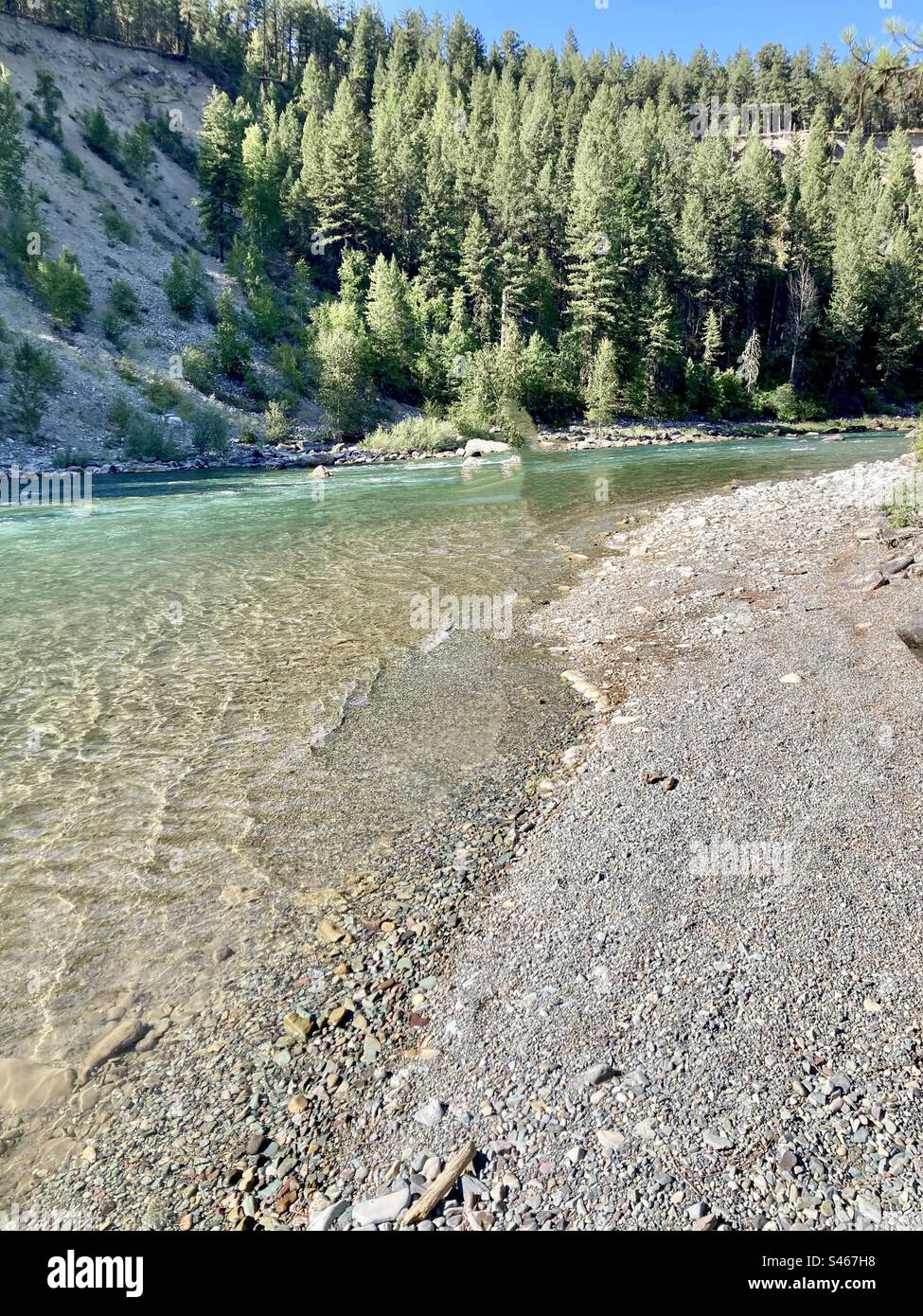 Great day fly fishing on the Elk River in South Kootenay, British Columbia, Canada. - Smartphone Captured Stock Image