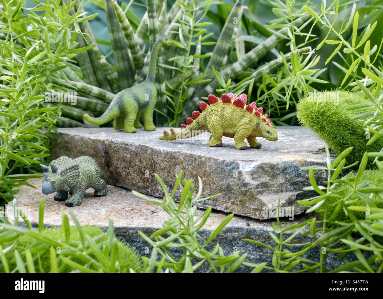 Plastic dinosaurs in their natural habitat - Smartphone Captured Stock Image