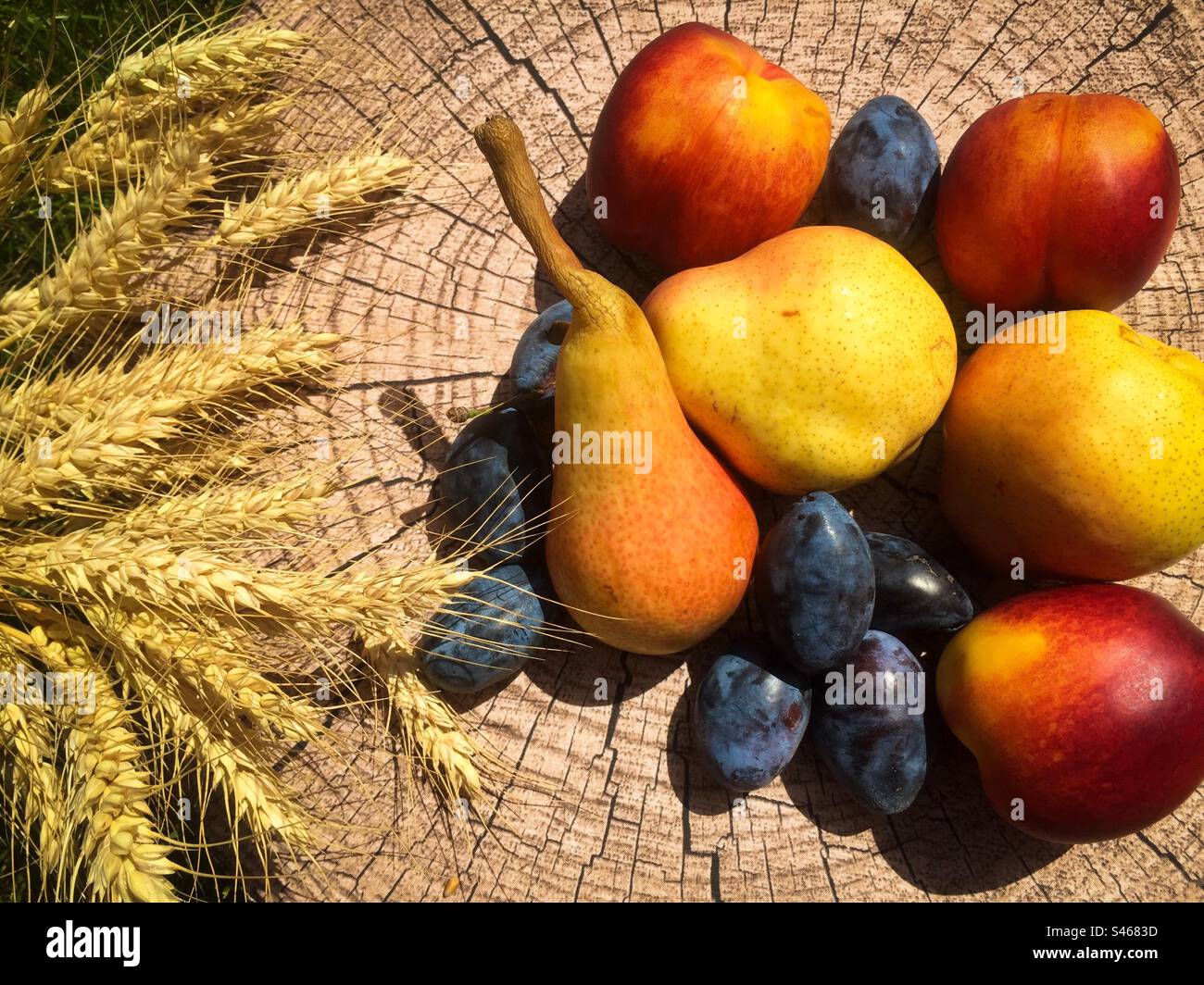 Fruits - Smartphone Captured Stock Image