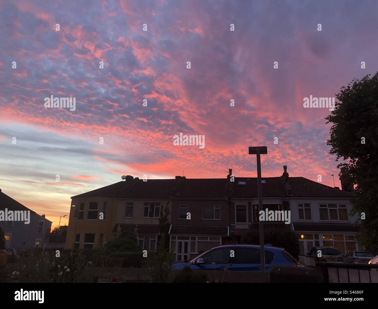 Red sky over fishponds - Smartphone Captured Stock Image