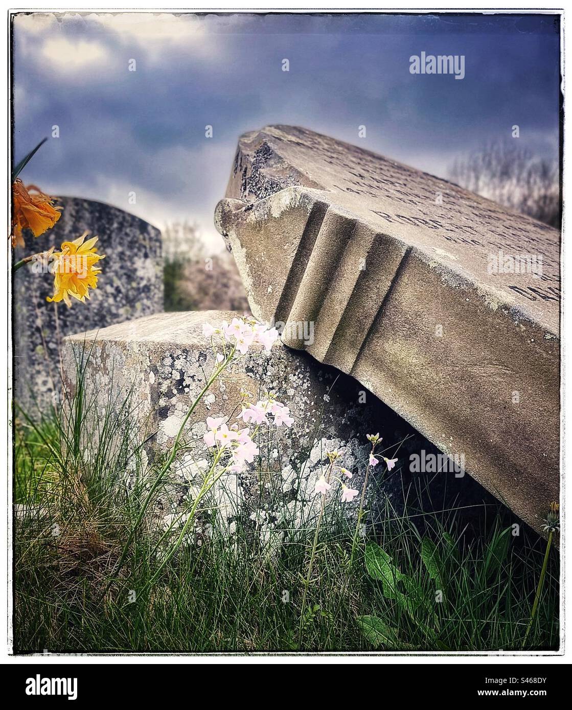 Headstone overgrown hi-res stock photography and images - Alamy
