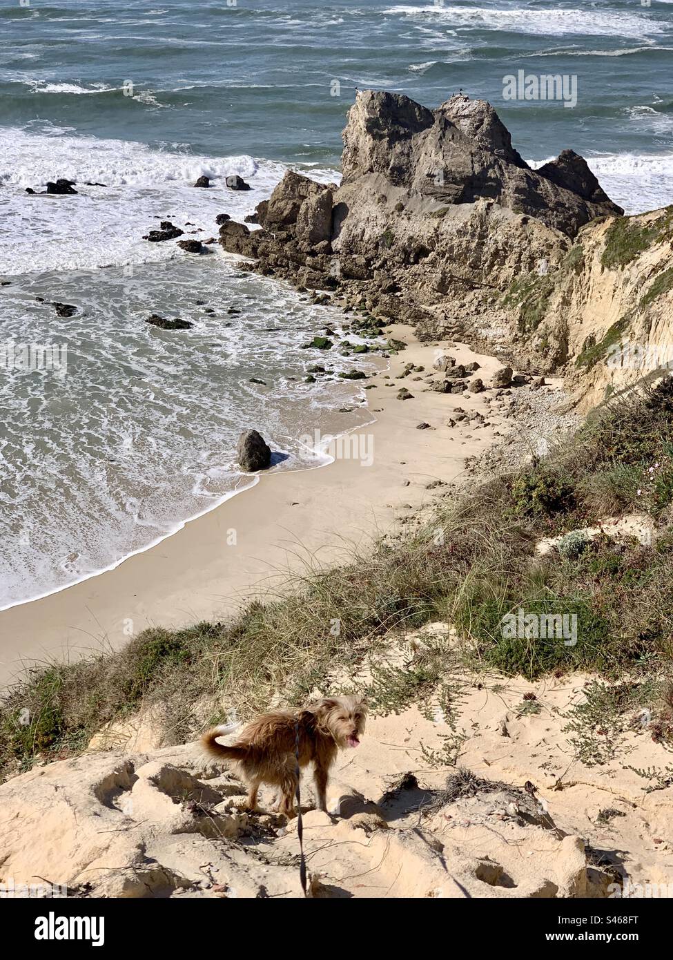 Rock formation known as Castelo/Leão (depending on the perspective) on Portugal’s west coast - Smartphone Captured Stock Image