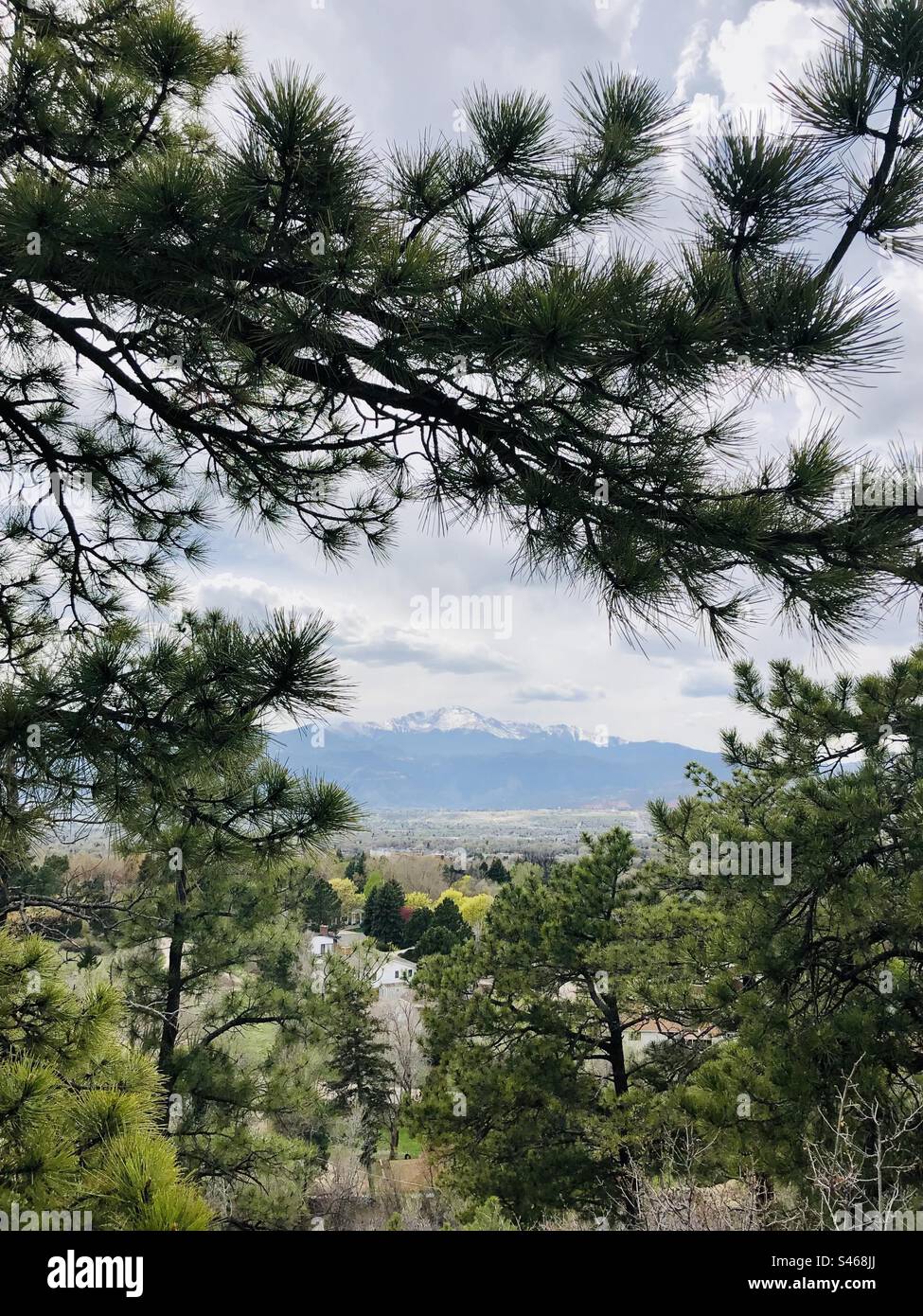 Mountain through the trees - Smartphone Captured Stock Image
