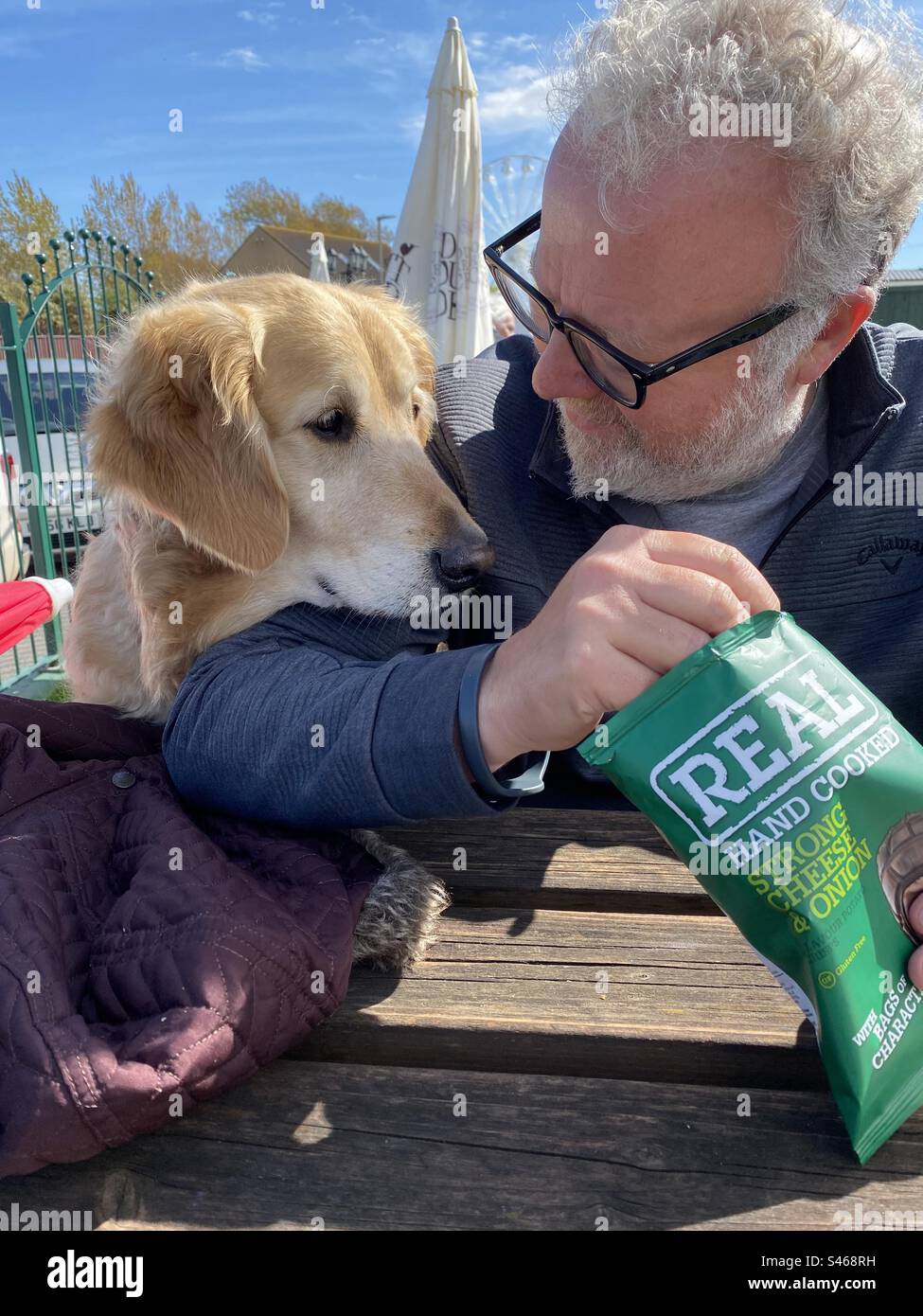 Dog looking for a treat - Smartphone Captured Stock Image
