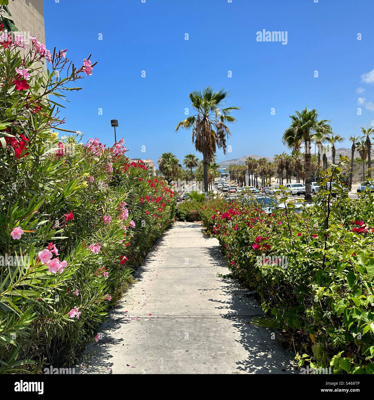 June, 2023, Sidewalk, San Jose del Cabo, Los Cabos, Baja California Sur, Mexico - Smartphone Captured Stock Image