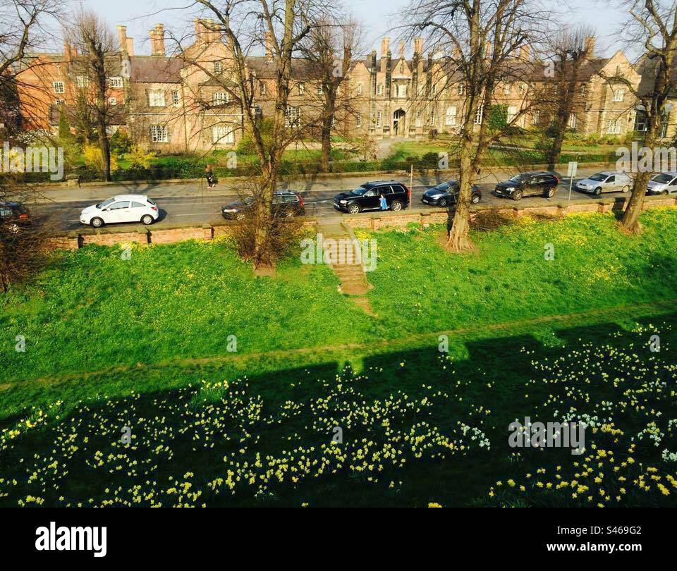 Beautiful view in front of York St John University, shoot from York's city wall, UK - Smartphone Captured Stock Image