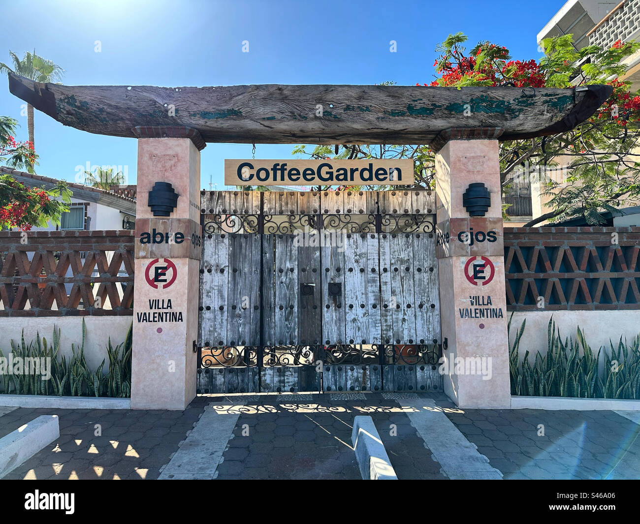 June, 2023, Coffee Garden, San Jose del Cabo, Los Cabos, Baja California Sur, Mexico - Smartphone Captured Stock Image