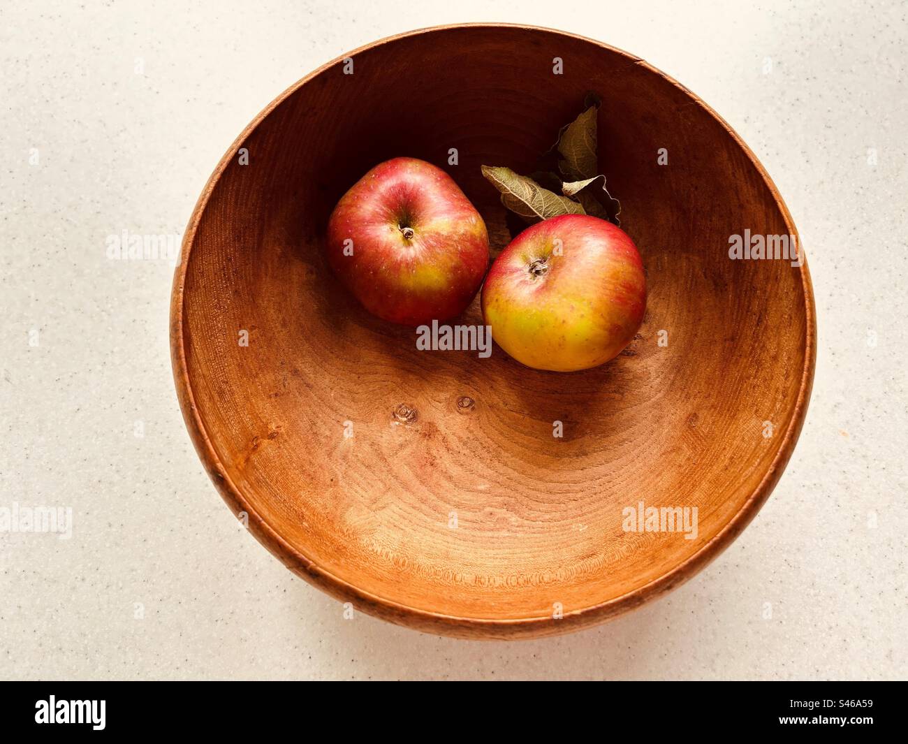 Two apples in a grained wooden bowl. Red and green apples. Foraged yesterday in the local community orchard. Fresh and juicy. - Smartphone Captured Stock Image