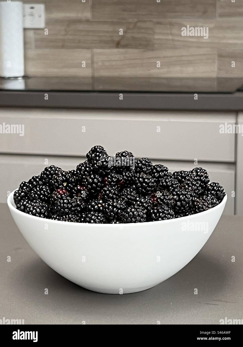 Bowl of freshly picked blackberries Stock Photo