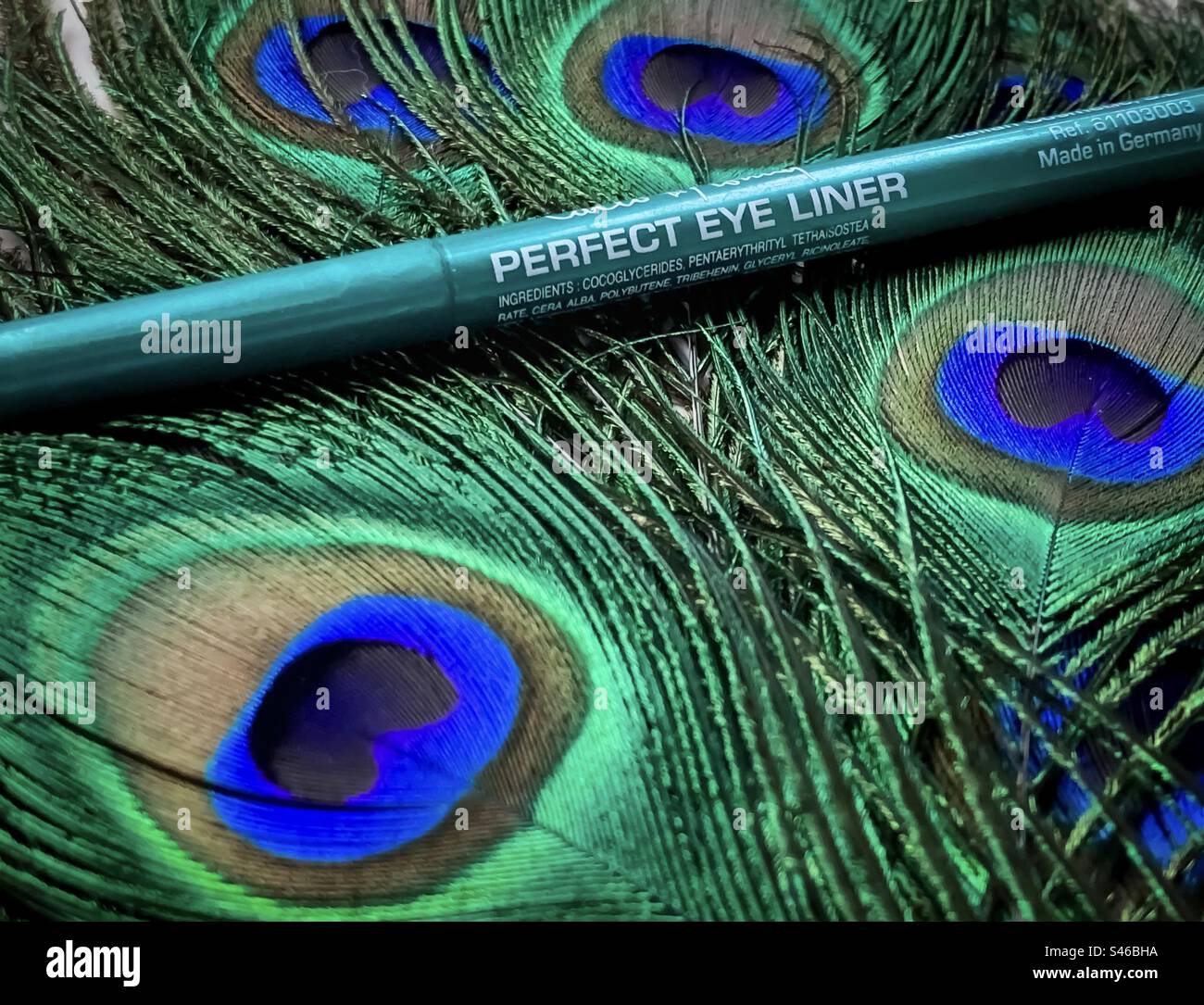 Perfect Eye Liner on peacock’s feathers - Smartphone Captured Stock Image