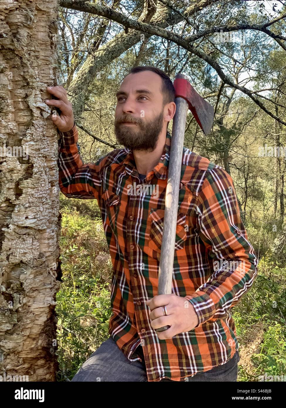 A woodcutter with axe in a forest - Smartphone Captured Stock Image