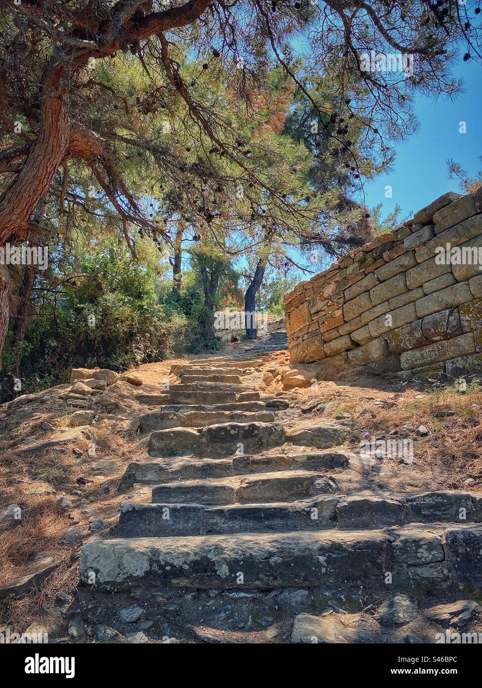 Old stone staircase and wall with pine trees leading to Acropolis hill and archeological site in Limenas on Thassos island, Greece. Stock Photo