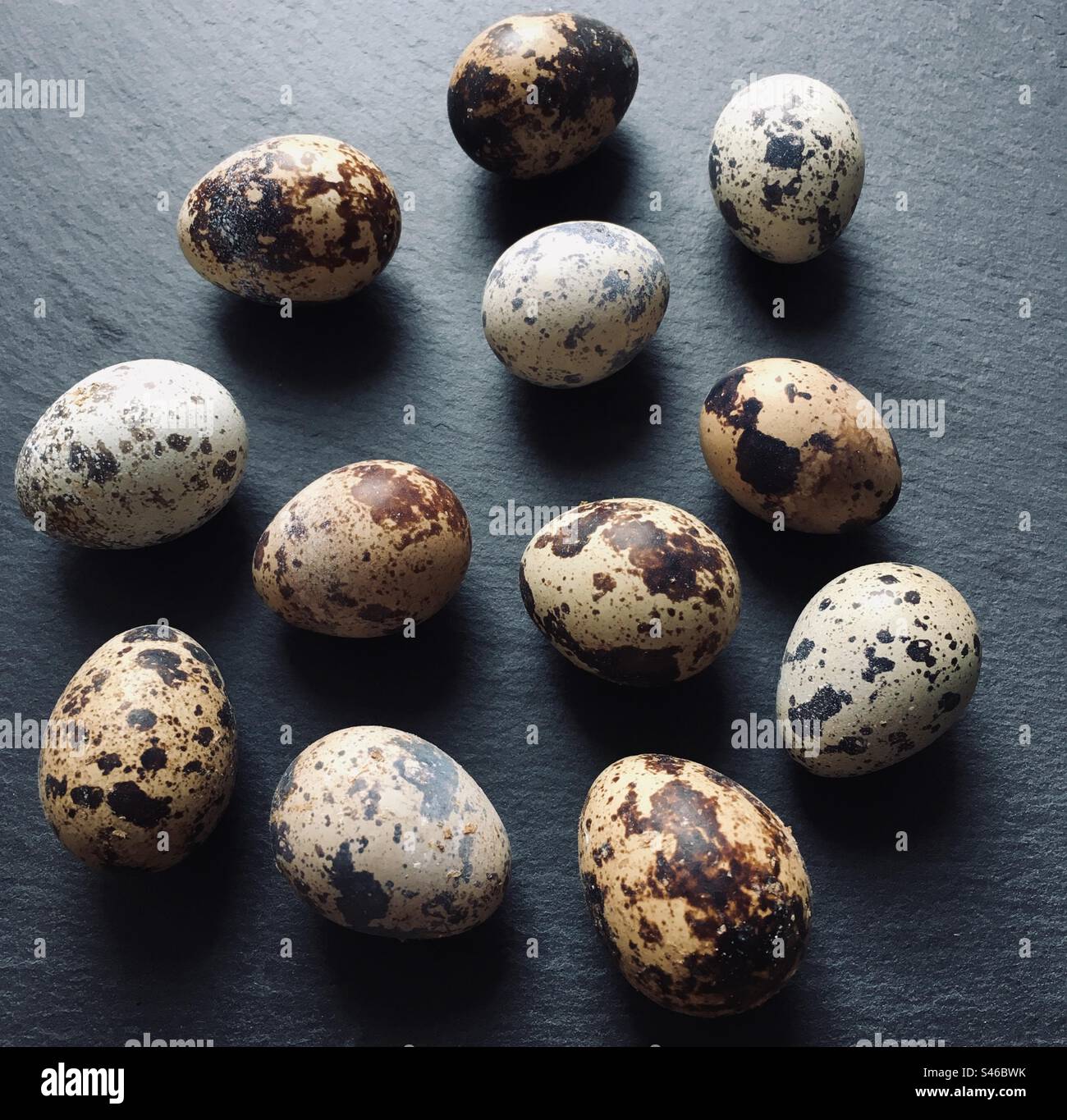 Tiny eggs hi-res stock photography and images - Alamy
