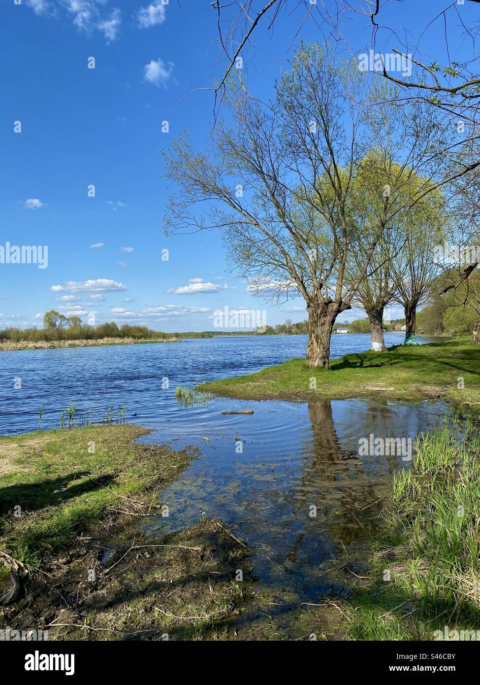 Narew river in Poland - Smartphone Captured Stock Image
