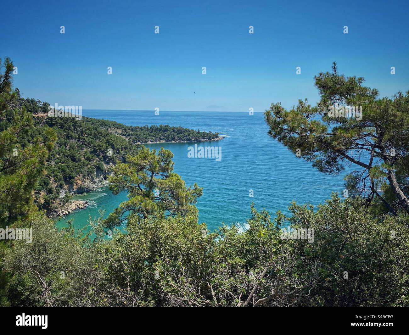 Sea view with pine trees in a bay behind Golden Beach on Thassos island in Greece. - Smartphone Captured Stock Image
