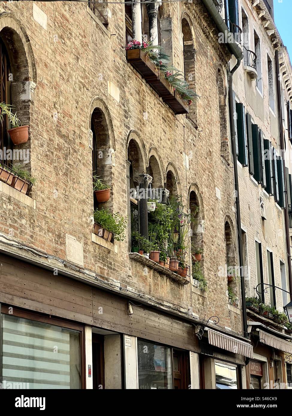 Balconies on houses adorned with flowers and plants on Salizada del Pistor street in Cannaregio, Venice - Smartphone Captured Stock Image