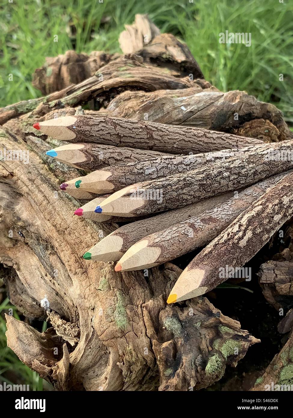 Twig colouring pencils on a log - Smartphone Captured Stock Image
