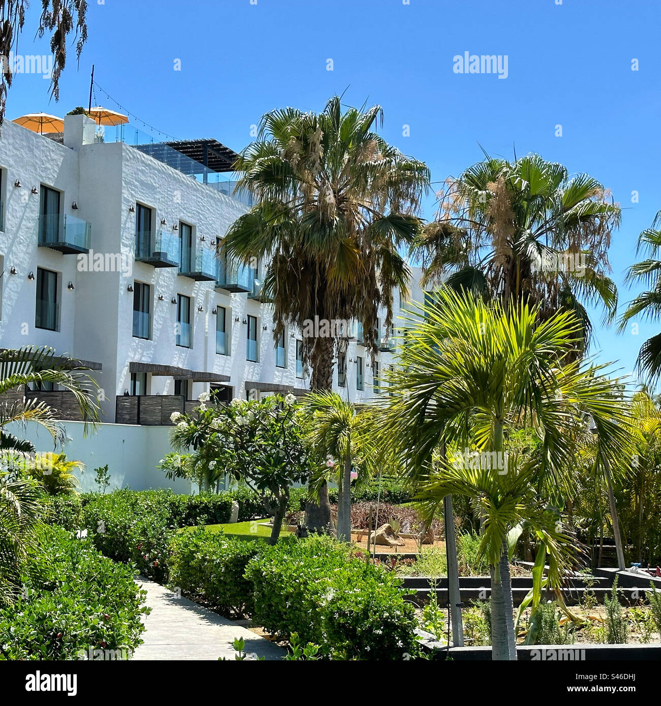 June, 2023, Hotel El Ganzo, San Jose del Cabo, Los Cabos, Baja California Sur, Mexico - Smartphone Captured Stock Image