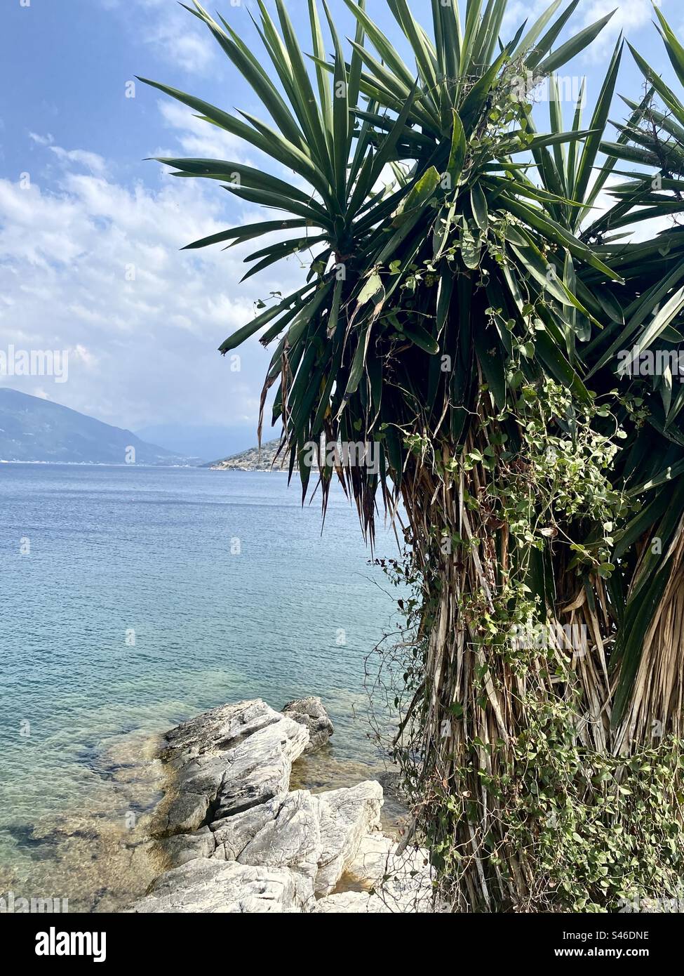 Tropical trees and big rock overlooking the sea, Kefalonia, Greece - Smartphone Captured Stock Image