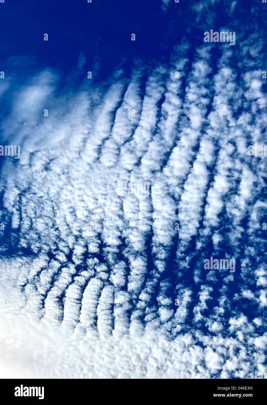 Looking up at high white stratocumulus cloud against a deep blue sky - Smartphone Captured Stock Image