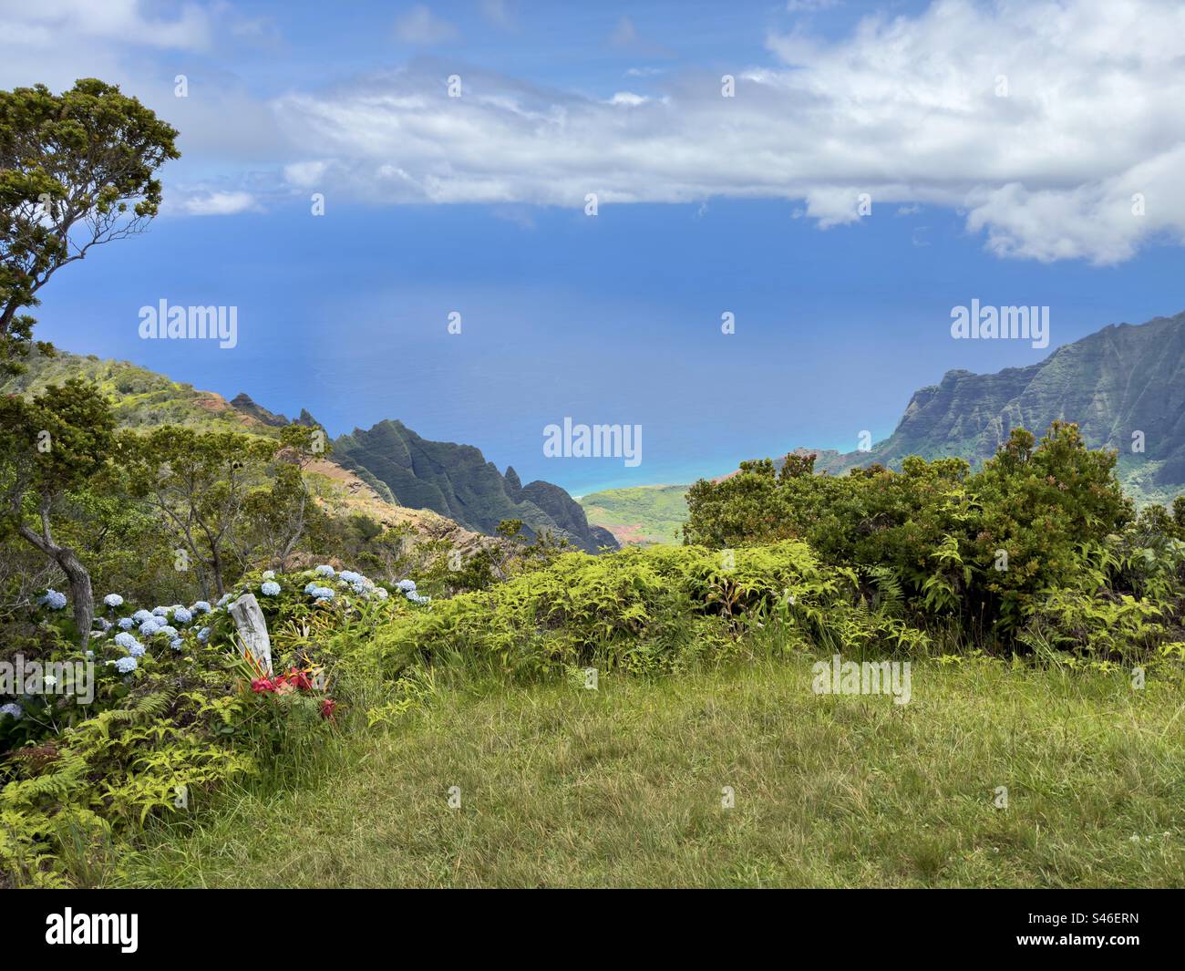Hawaiian island overlook Stock Photo