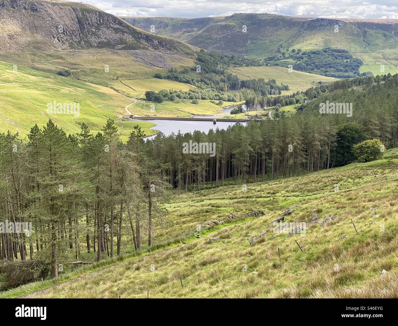 Saddleworth moors, with a reservoir and trees near, Oldham, U.K Stock