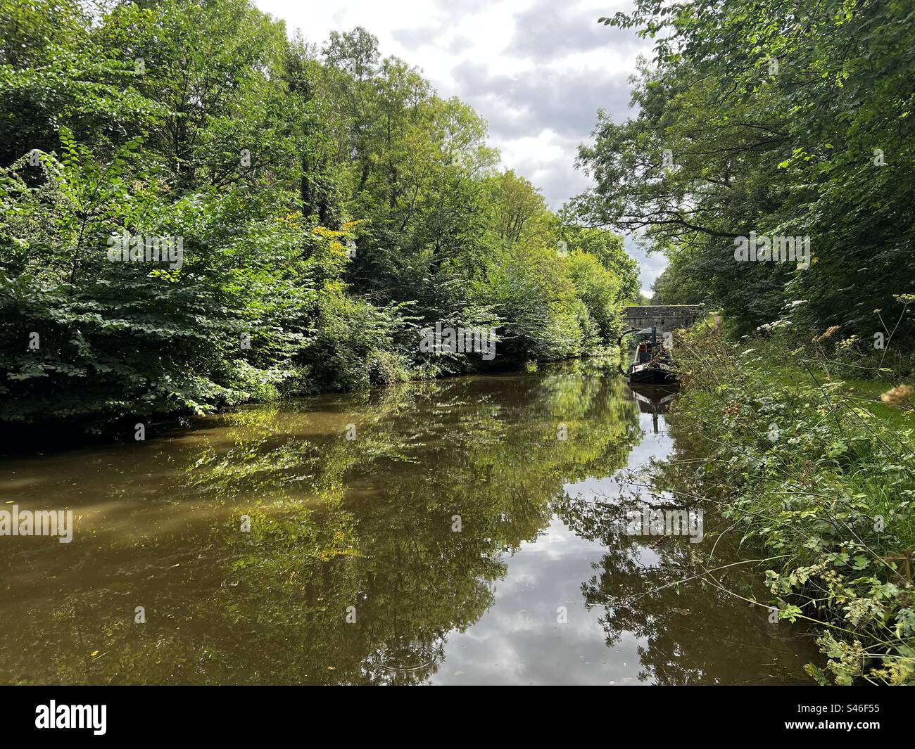 Canalboat in a woodland in Staffordshire Stock Photo