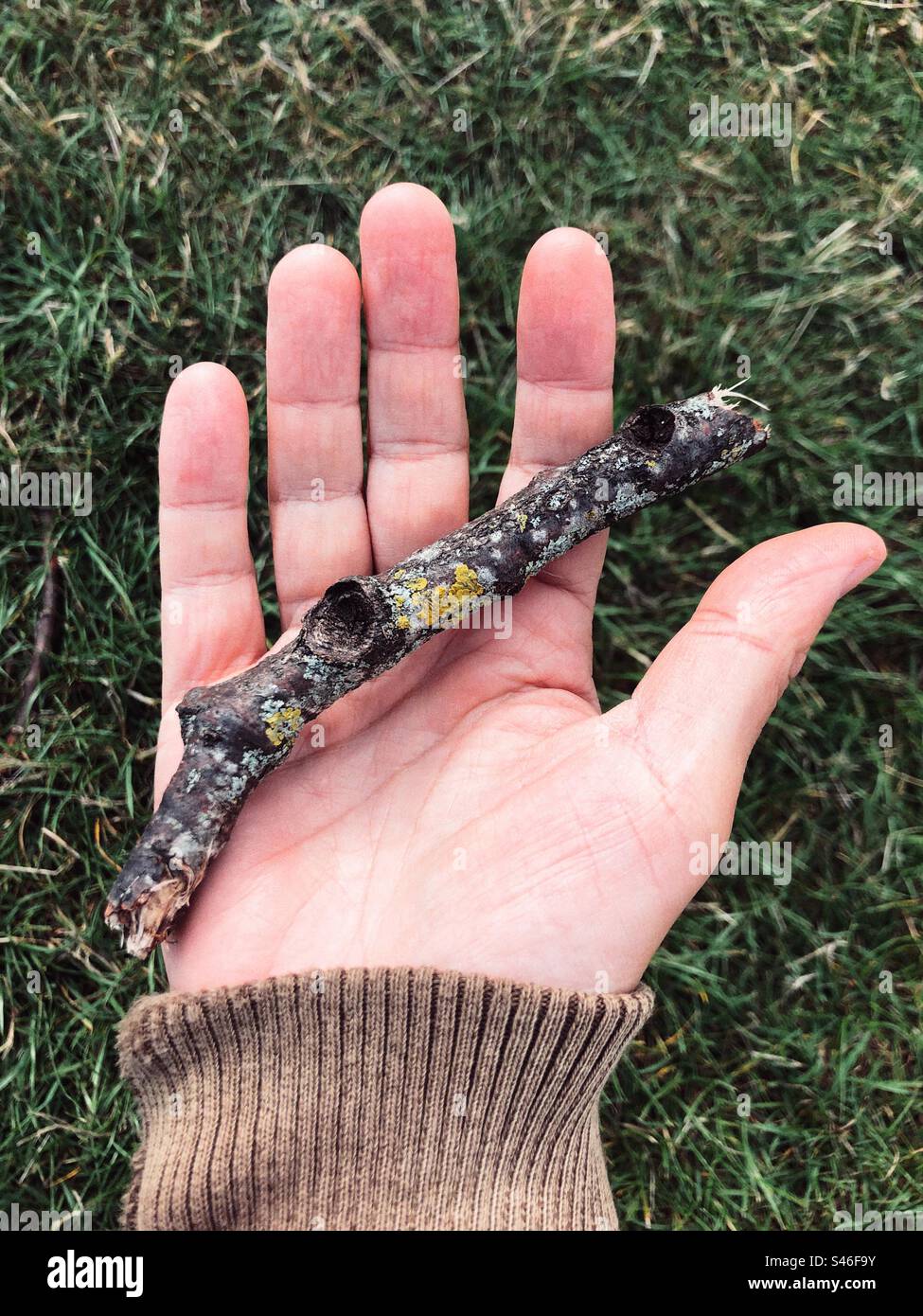 Person holding a piece of wooden stick in hand against green grassy background - Smartphone Captured Stock Image