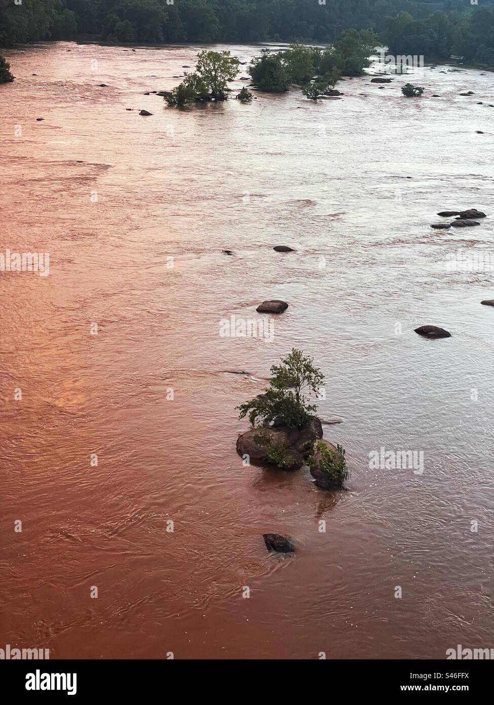 A tree grows on a rock in the middle of a river during sunset. Stock Photo