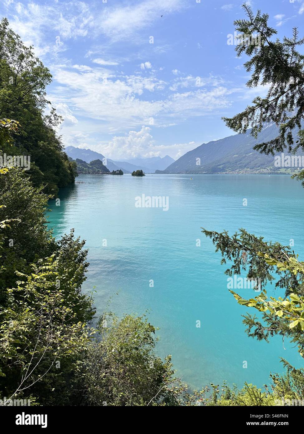 Lake Switzerland/ Brienzersee/Swiss nature Stock Photo