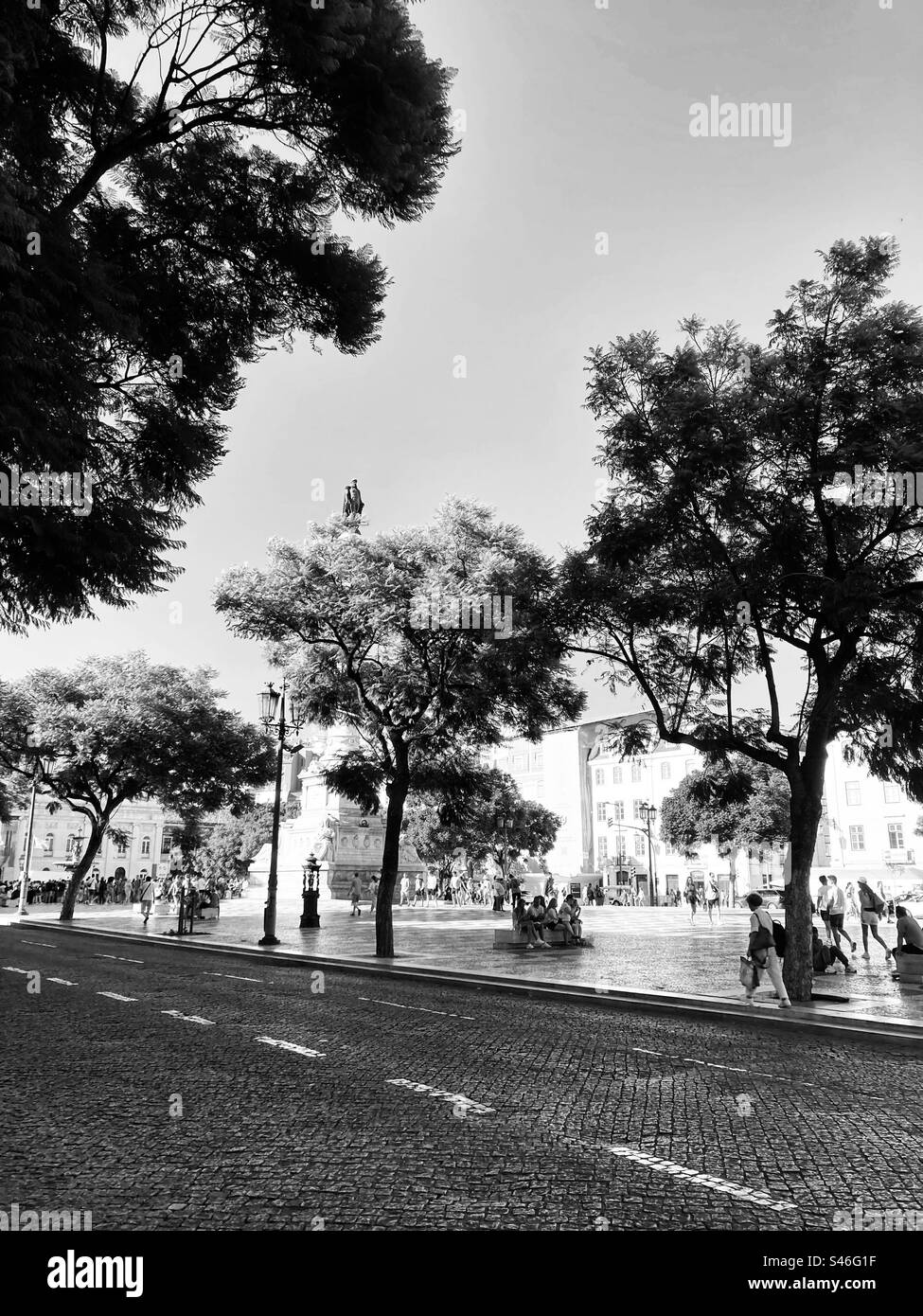 Monochromatic view of road with trees around and D.Pedro IV square ( Praça do Rossio) in Lisbon downtown. Stock Photo