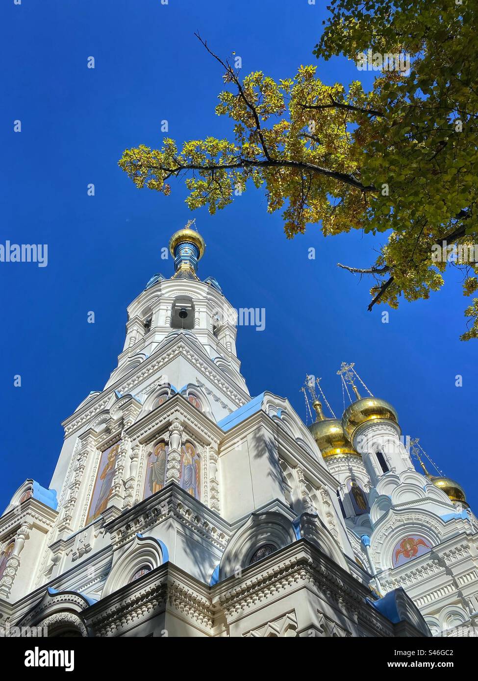 Autumn colored tree branches and golden onion domes of the 19th century Orthodox Church in Karlovy Vary, Czech Republic. - Smartphone Captured Stock Image