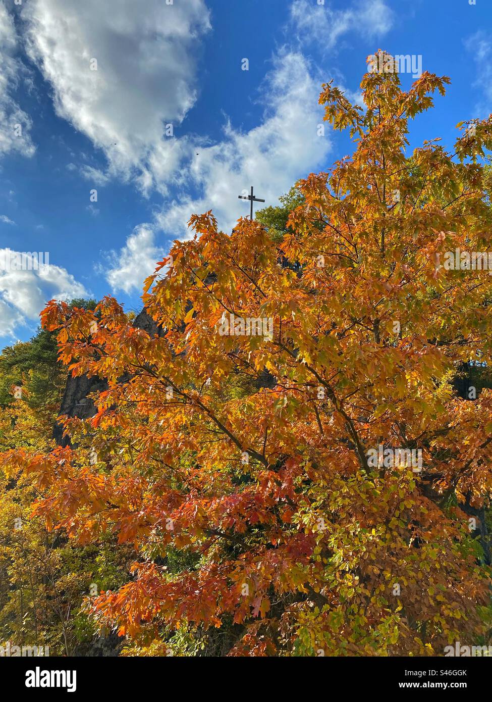 Orange colored autumn tree with blue sky and white clouds in Karlovy Vary, Czech Republic. - Smartphone Captured Stock Image