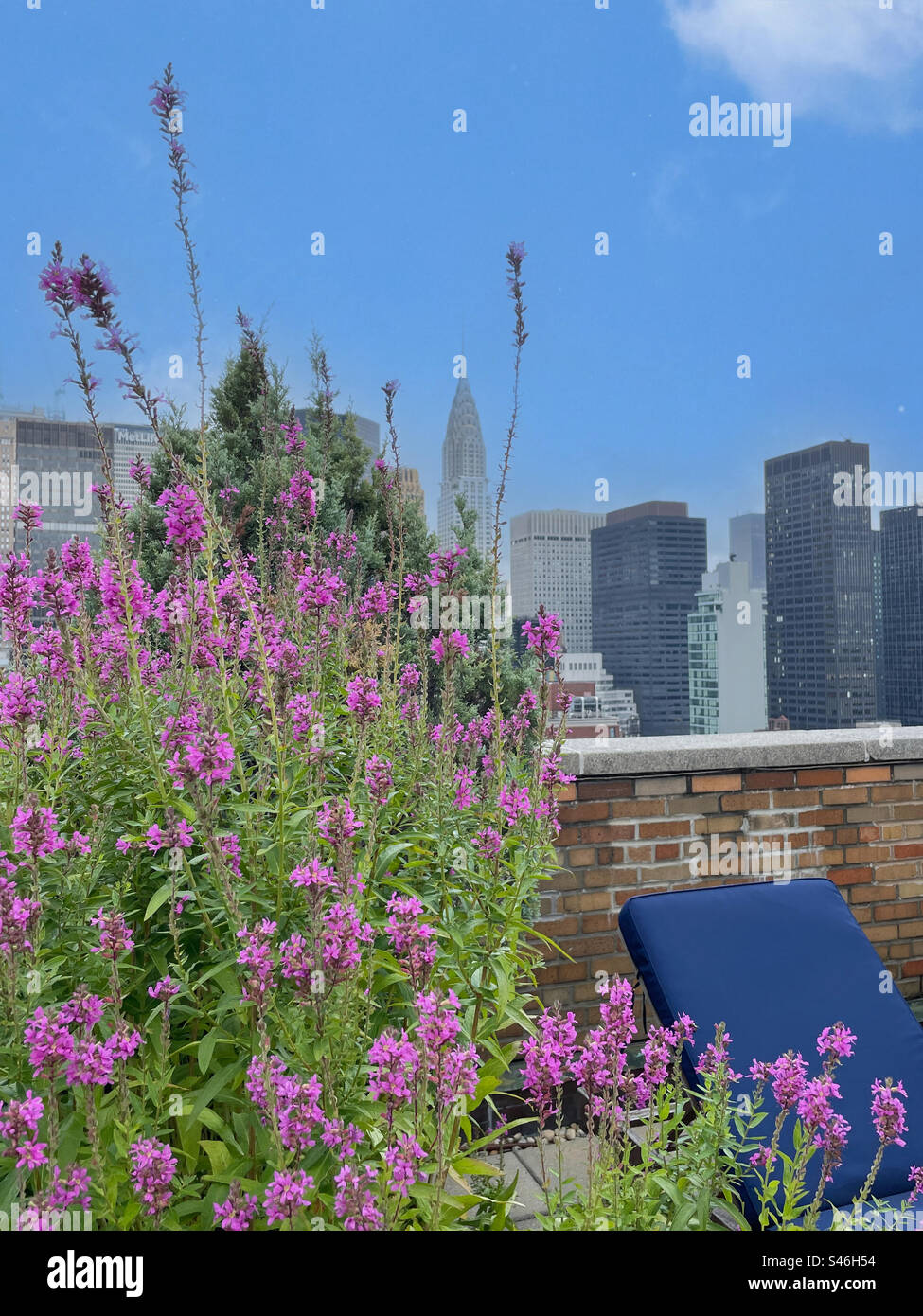 Snapshot of Luxury Apartment Buildings With Rooftop Gardens In Historic Districts