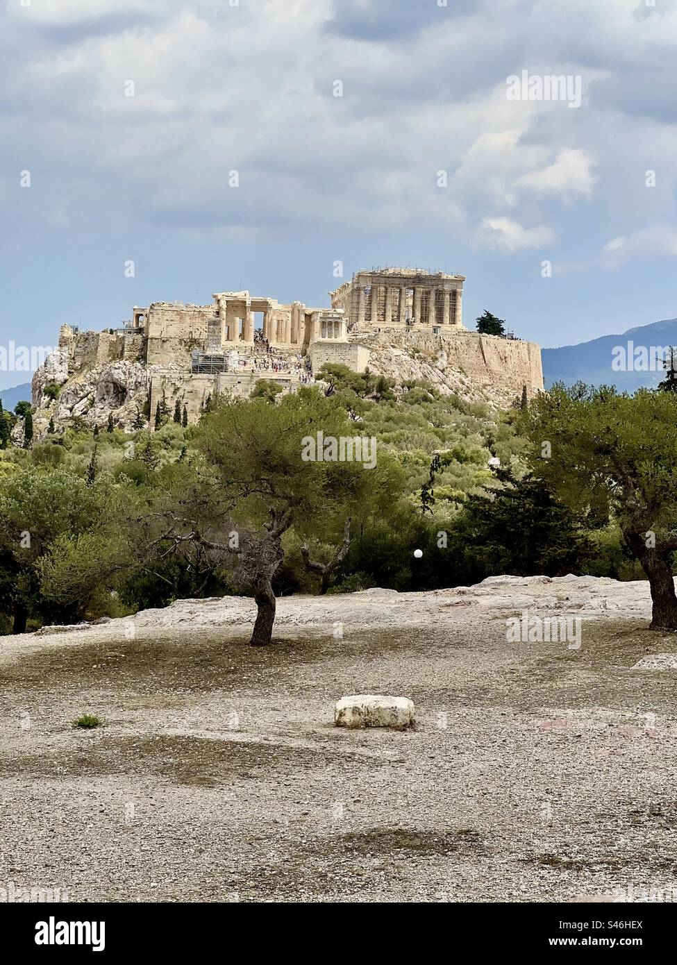 Temple in an Olive Tree Stock Photo Alamy