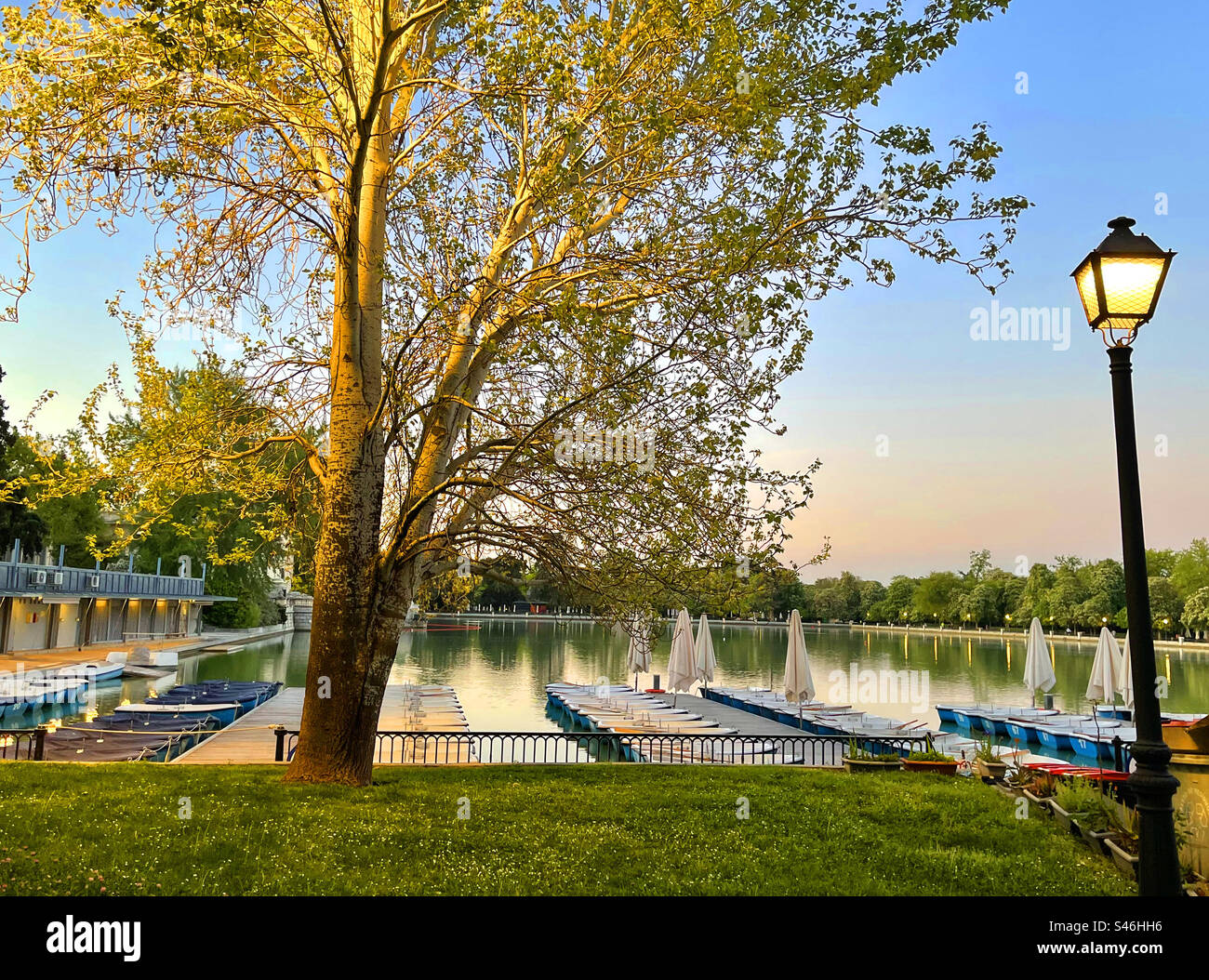 Jetty and pond at dawn. El Retiro park, Madrid, Spain. - Smartphone Captured Stock Image
