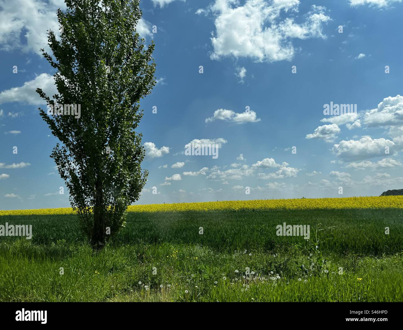 The beauty of solitude Stock Photo - Alamy