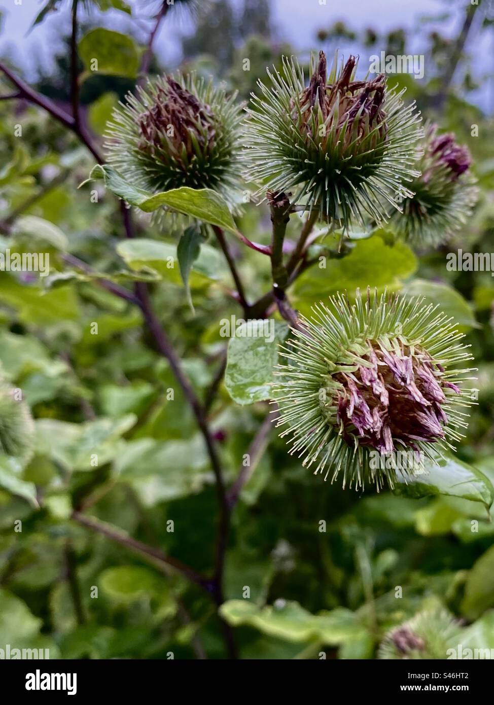 Summertime one of the best time for to feed your eyes with colors,fresh