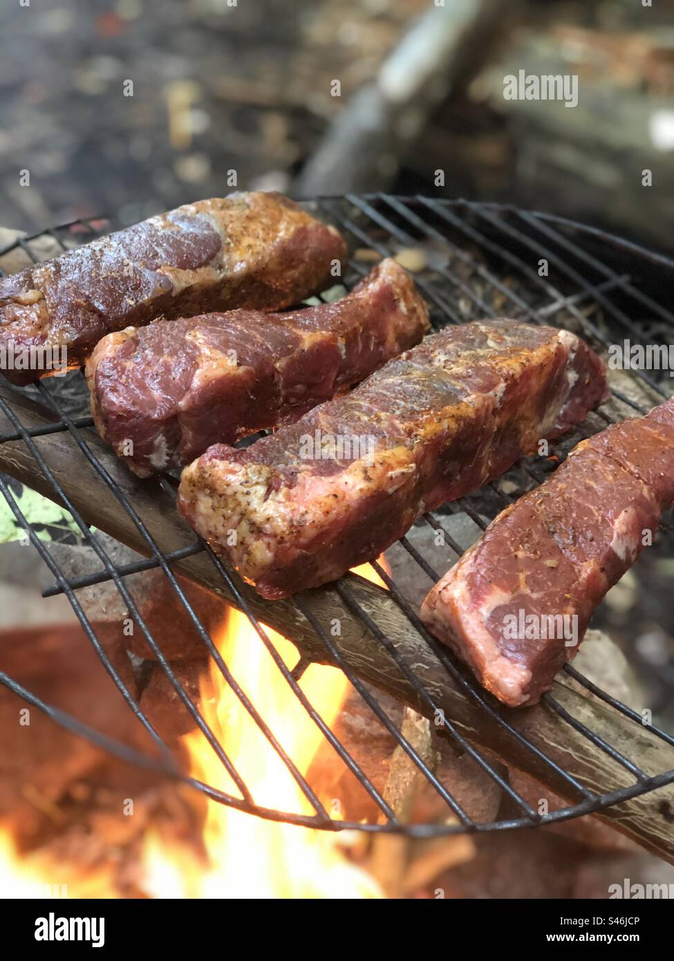 Steaks cooking over an open camp fire, Algonquin park Ontario Canada - Smartphone Captured Stock Image