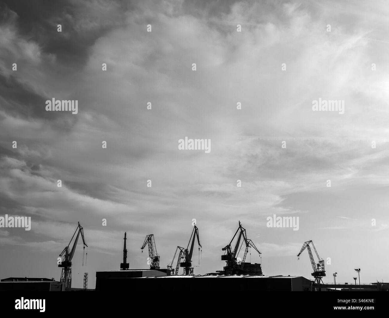 Cranes in black and white. Pula. Croatia Stock Photo - Alamy