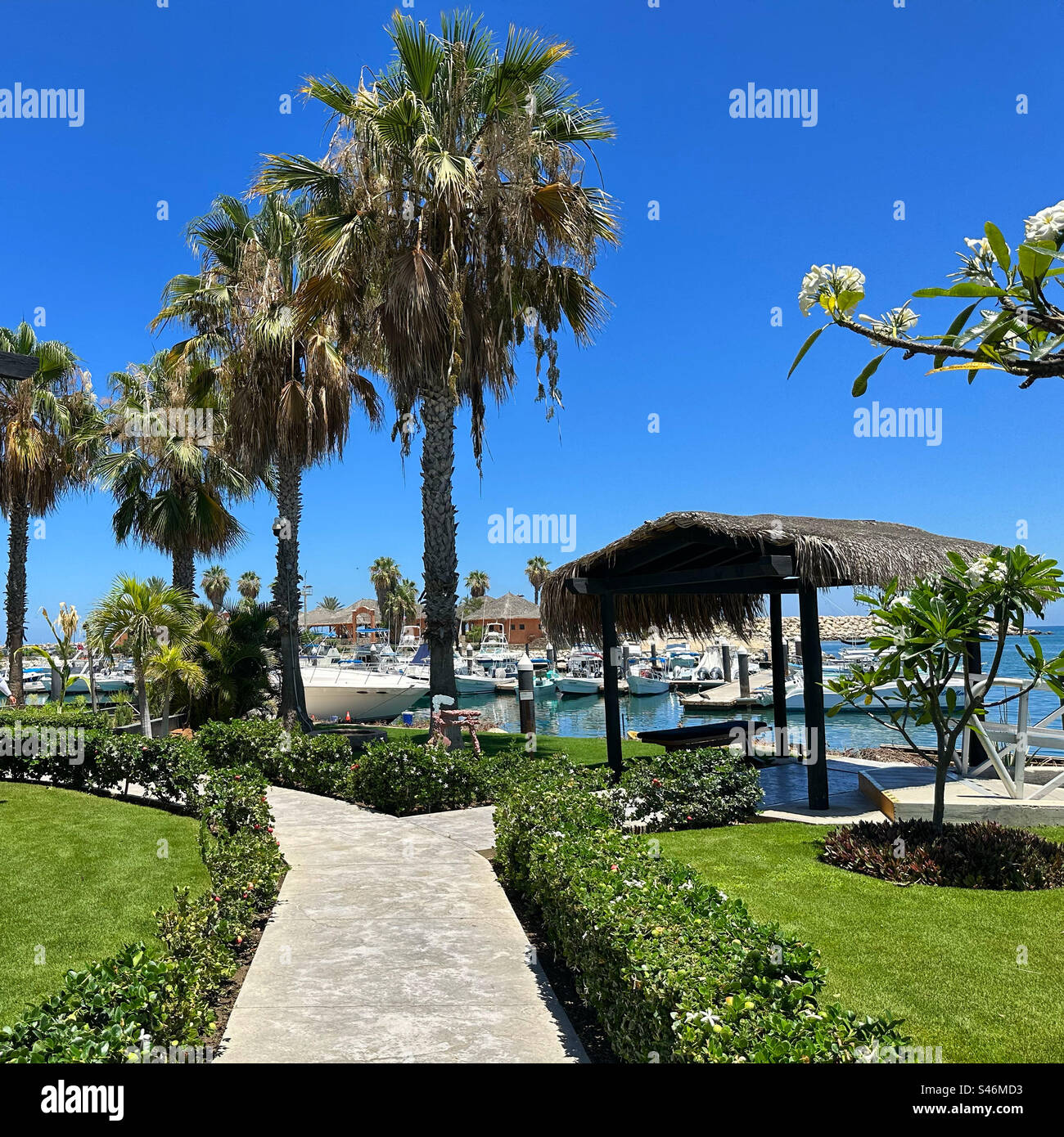 June, 2023, Grounds of Hotel El Ganzo, La Playa, San Jose del Cabo, Los Cabos, Baja California Sur, Mexico - Smartphone Captured Stock Image