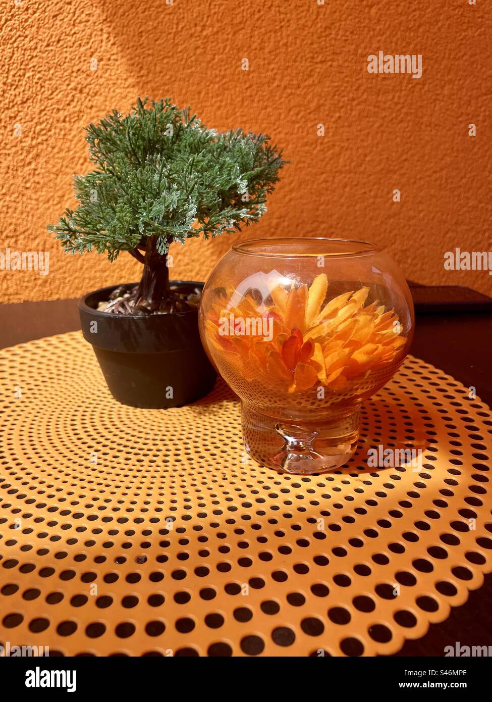 A glass vase adorned with a delicate flower, accompanied by a graceful Bonsai, rests on a table against an orange backdrop. A harmonious blend of nature and aesthetics. - Smartphone Captured Stock Image